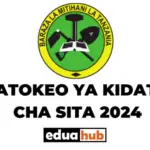 How to Check NECTA Form Six Results 2024