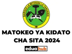 How to Check NECTA Form Six Results 2024